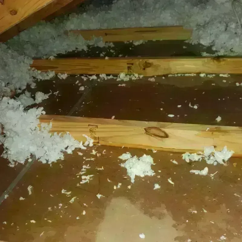 Attic Water Damage in Libby, MT