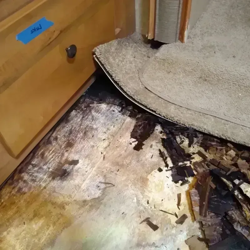 Wood Floor Water Damage in Libby, MT